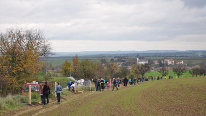 Tvarožná _ 2022 _ III. třešňová alej